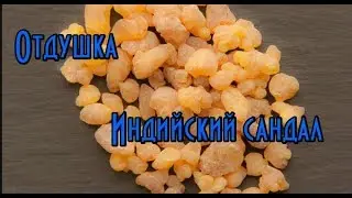Отдушка индийский сандал // Косметика с ароматом Сандала //Аюрведа