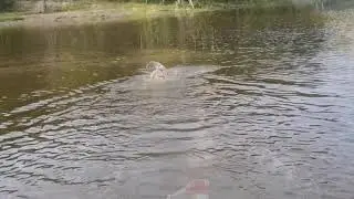 Коротко о том, за что я люблю лето ☀️