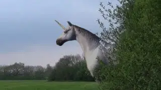 Unicorn Sighting Caught on Camera