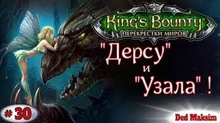 # 434. King's Bounty: Перекрёстки Миров (Красные Пески) ►Прохождение На Невозможном► [Серия № 30]
