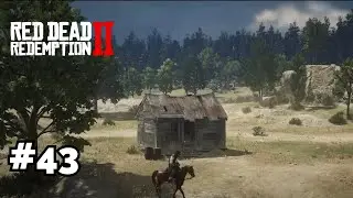 Home Sweet Home?: Red Dead Redemption 2 Story Gameplay Episode 43 - NO COMMENTARY