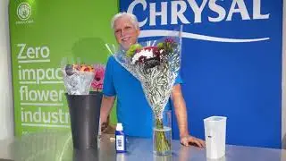 Extend the Beauty of Your Fresh Cut Flowers with Chrysal Cut Flower Universal Food! 🌼💐
