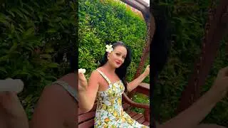 Великолепный цветок Франжипани 