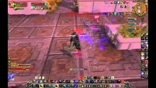 WoW 5.4.8 Hunter