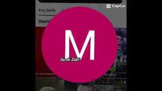 biz dört günahı olmayan canlardık