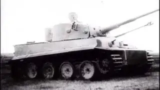 TANKS - MICHAEL WHITTMAN TIGER ACE