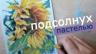 как нарисовать ПОДСОЛНУХ [как нарисовать цветы пастель]🌻