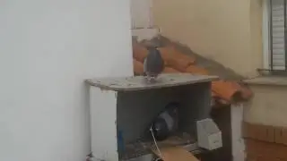 Probando un tirito nuevo