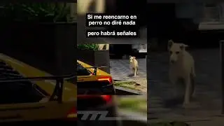 Seré ese perro que se levanta para disfrutar un V10