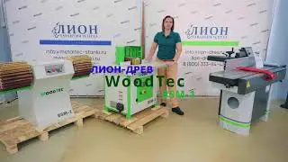 Станок щеточно-шлифовальный WoodTec BSM-1