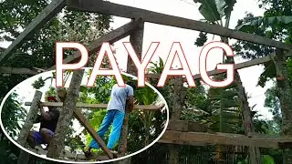 PAYAG || DIY PART 3