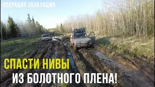 СПАСТИ НИВЫ ИЗ ПЛЕНА ГРЯЗИ И БОЛОТ! УАЗы зарешали! Эвакуация команды 