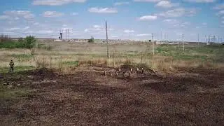 7 мая 2023 г.