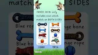 Freya and Stormy Explain Inner Joins #sql #tsql #sqltips #sqlforbeginners