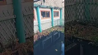 день шофëра