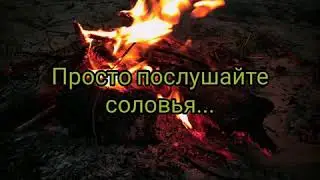 Ночной костер, запах весны и песня соловья