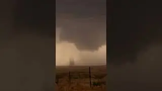 Dust Sucker! #Shorts