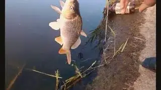 Рыбалка в Чумаках 2016 год