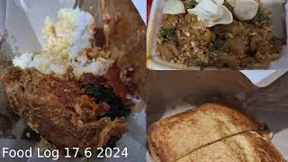 Food Log 17 6 2024.  [TVM]