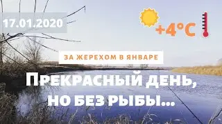 За жерехом в январе! Только жерех этого не понял)