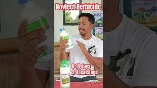 Novlect Herbicide | 8-14days pagkatanim | 85-105mL per tankload