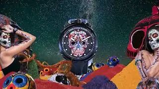 BOMBERG SUGAR