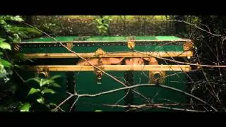 Immaginifiche esistenze e sinistri spettri - booktrailer