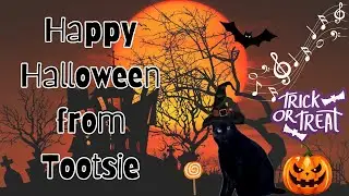 1696) Happy Halloween from Tootsie (Trick or Treat)
