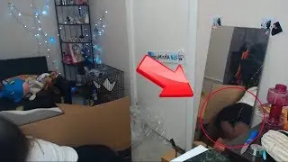 ТАМ НЕТУ ШОРТ  | Топ Моменты с Twitch