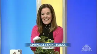 Spring Cleaning Hacks