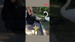 карантин прикол 😂😂😂