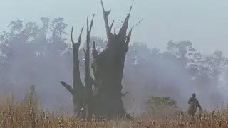 Opening Scene of film  CHARISMA 1999  カリスマ