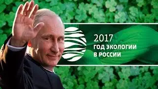 всероссийский день посадки леса 2017