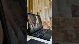 Неразлучник Ника смотрит аниме Lovebird watches anime