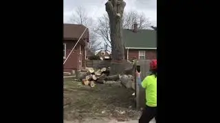 Сюрприз 🤣 #Shorts