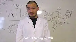WriggleBrew