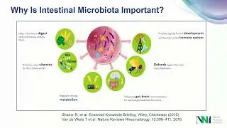 Maximizing Health Through the Microbiome: A Life Continuum