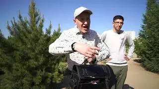 Ботанический сад ЧелГУ