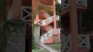 Тропический ландшафт и его фишки