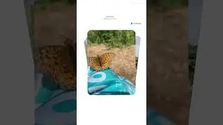 А как проходит твоё лето ⁉️ #ёжкин_club