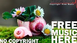 👉🏻🔥Musica sin copyright gratis para youtube