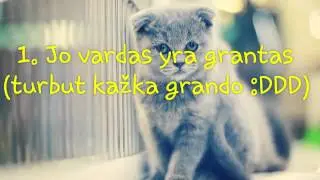 VIskas apie kates /faktai apie mano kysiu
