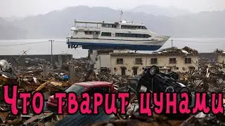 Что нужно знать о цунами | Анатомия цунами | Все о цунами