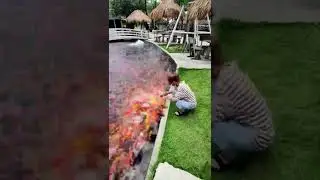 odiy qiz yahsh boladi
