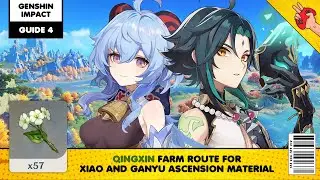 Genshin Impact Guide: Daily Qingxin Farm Route
