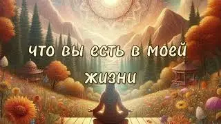 Вечерняя медитация: Благодарность за день