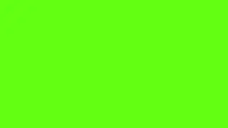 Heart icon UHD 60fps Green BG