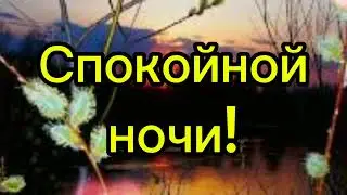 Спокойной ночи! #видео #ночь #пожеланияспокойнойночи #пожелания #спокойнойночи