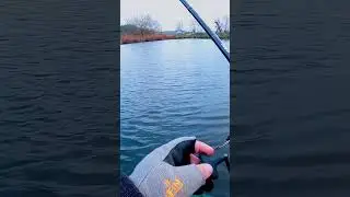 Одни поклевки сегодня🤬🥲 #fishing #fish #fishingvideo #рыбалка #shimano #pike #pikefishing #киев