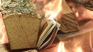 12 обряд  06. 01. 2025  Рождение Прави и Слави | Треба ХОРСу